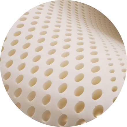 Talalay Latex Band